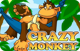 crazy-monkey